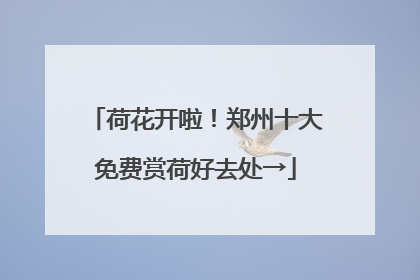 荷花开啦！郑州十大免费赏荷好去处→