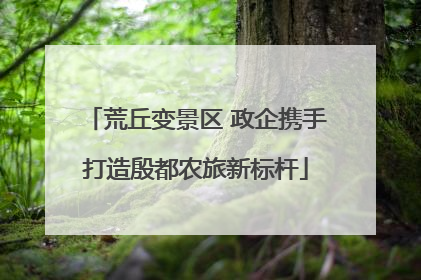 荒丘变景区 政企携手打造殷都农旅新标杆