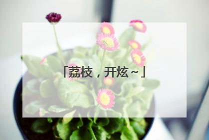 荔枝，开炫～