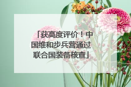 获高度评价！中国维和步兵营通过联合国装备核查