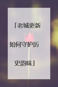老城更新如何守护历史韵味