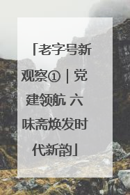老字号新观察①｜党建领航 六味斋焕发时代新韵