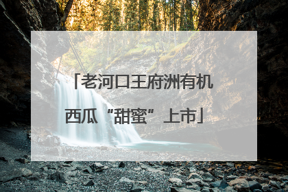 老河口王府洲有机西瓜“甜蜜”上市