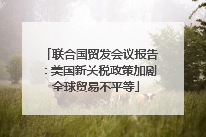 联合国贸发会议报告：美国新关税政策加剧全球贸易不平等