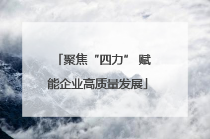 聚焦“四力” 赋能企业高质量发展