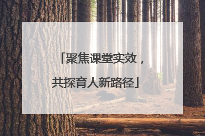 聚焦课堂实效，共探育人新路径
