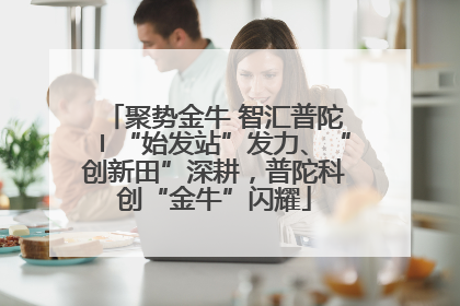 聚势金牛 智汇普陀〡“始发站”发力、“创新田”深耕，普陀科创“金牛”闪耀
