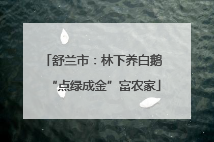 舒兰市：林下养白鹅 “点绿成金”富农家