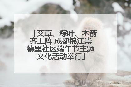 艾草、粽叶、木箭齐上阵 成都锦江崇德里社区端午节主题文化活动举行