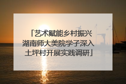 艺术赋能乡村振兴 湖南师大美院学子深入土坪村开展实践调研