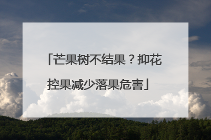 芒果树不结果？抑花控果减少落果危害
