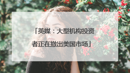英媒：大型机构投资者正在撤出美国市场