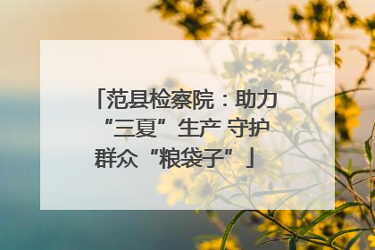 范县检察院：助力“三夏”生产 守护群众“粮袋子”
