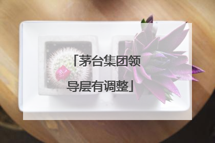 茅台集团领导层有调整