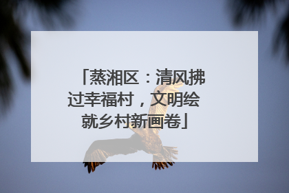 蒸湘区：清风拂过幸福村，文明绘就乡村新画卷