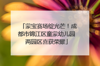 蒙宝赛场绽光芒！成都市锦江区童蒙幼儿园两园区喜获荣耀