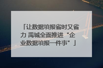 让数据填报省时又省力 禹城全面推进“企业数据填报一件事”