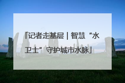 记者走基层｜智慧“水卫士”守护城市水脉
