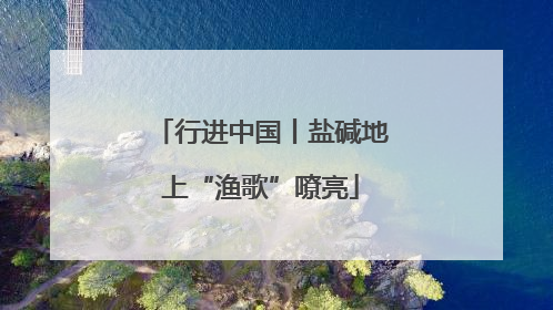 行进中国丨盐碱地上“渔歌”嘹亮