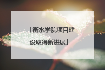 衡水学院项目建设取得新进展