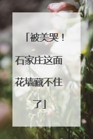 被美哭！石家庄这面花墙藏不住了