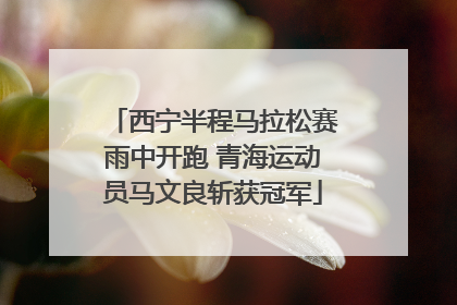 西宁半程马拉松赛雨中开跑 青海运动员马文良斩获冠军