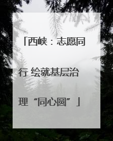 西峡：志愿同行 绘就基层治理“同心圆”