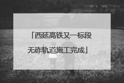 西延高铁又一标段无砟轨道施工完成