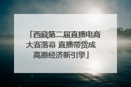 西藏第二届直播电商大赛落幕 直播带货成高原经济新引擎