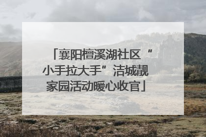 襄阳檀溪湖社区“小手拉大手”洁城靓家园活动暖心收官