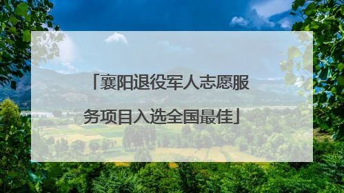 襄阳退役军人志愿服务项目入选全国最佳