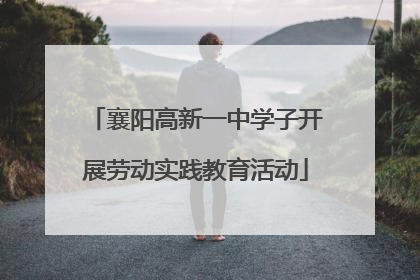 襄阳高新一中学子开展劳动实践教育活动