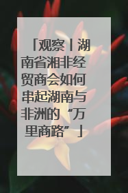 观察丨湖南省湘非经贸商会如何串起湖南与非洲的“万里商路”