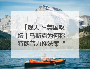 观天下·美国政坛｜马斯克为何称特朗普力推法案“令人作呕”