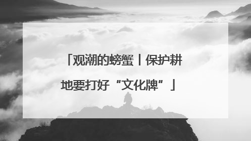 观潮的螃蟹丨保护耕地要打好“文化牌”