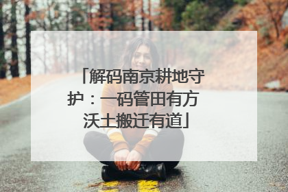 解码南京耕地守护：一码管田有方 沃土搬迁有道