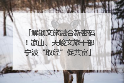 解锁文旅融合新密码！凉山、天峻文旅干部宁波“取经”促共富