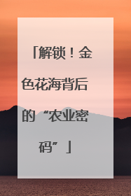 解锁！金色花海背后的“农业密码”