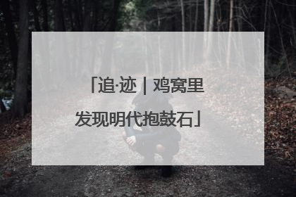 追·迹｜鸡窝里发现明代抱鼓石
