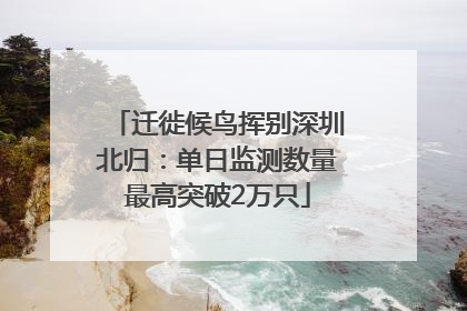 迁徙候鸟挥别深圳北归：单日监测数量最高突破2万只
