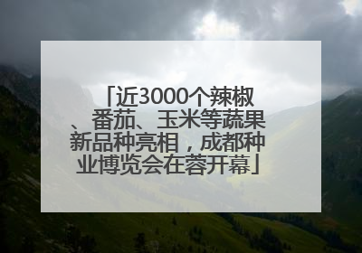近3000个辣椒、番茄、玉米等蔬果新品种亮相，成都种业博览会在蓉开幕