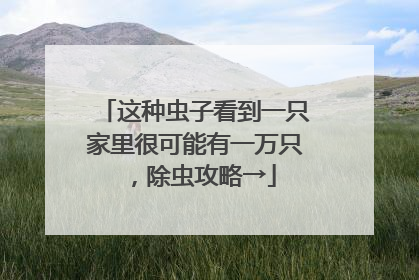 这种虫子看到一只家里很可能有一万只，除虫攻略→