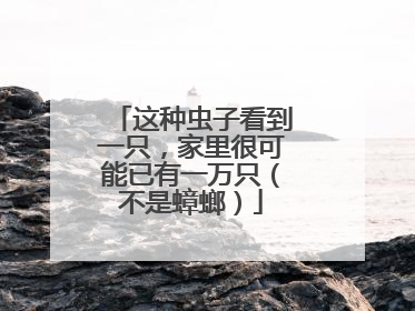 这种虫子看到一只，家里很可能已有一万只（不是蟑螂）