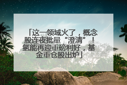 这一领域火了，概念股连夜批量“澄清”！氢能再迎重磅利好，基金重仓股出炉