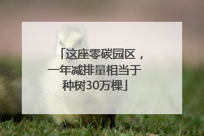 这座零碳园区，一年减排量相当于种树30万棵