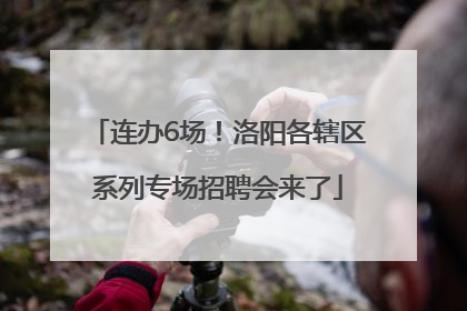 连办6场！洛阳各辖区系列专场招聘会来了