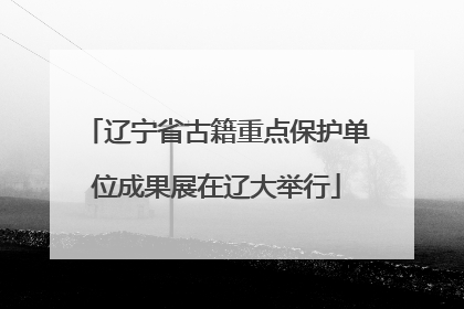 辽宁省古籍重点保护单位成果展在辽大举行