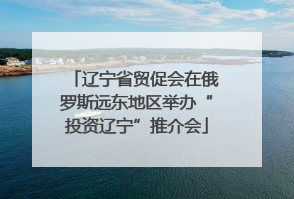 辽宁省贸促会在俄罗斯远东地区举办“投资辽宁”推介会