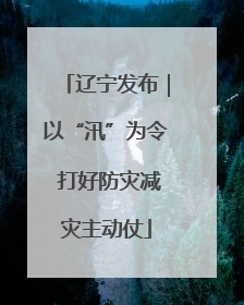 辽宁发布｜以“汛”为令 打好防灾减灾主动仗