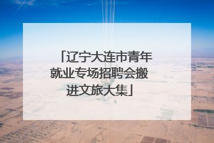 辽宁大连市青年就业专场招聘会搬进文旅大集